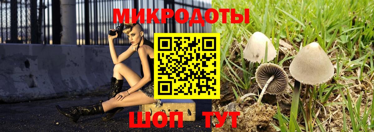 Химки  Псилоцибиновые грибы GOLDEN TEACHER  Вход с VPN 