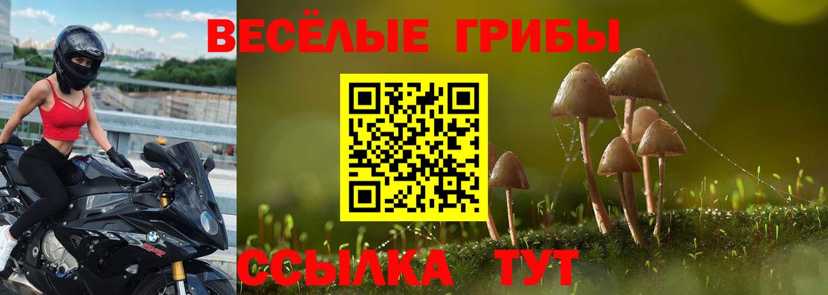 Псилоцибиновые грибы прущие грибы Химки